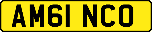 AM61NCO