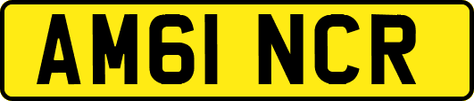 AM61NCR