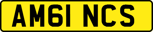 AM61NCS