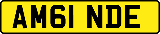 AM61NDE