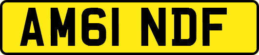 AM61NDF