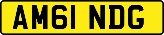 AM61NDG
