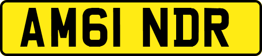 AM61NDR
