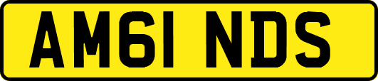 AM61NDS