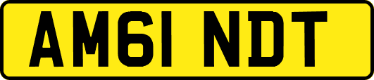 AM61NDT