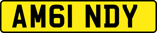 AM61NDY