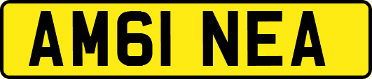 AM61NEA