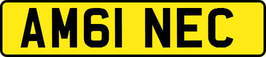 AM61NEC