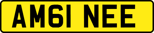AM61NEE