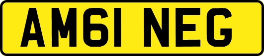 AM61NEG