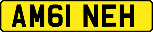 AM61NEH