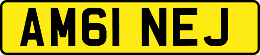AM61NEJ