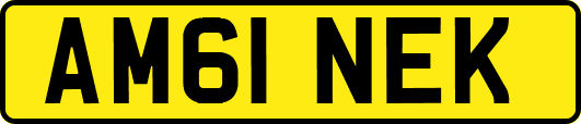 AM61NEK