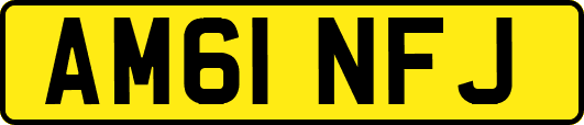 AM61NFJ