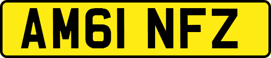 AM61NFZ
