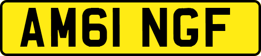 AM61NGF