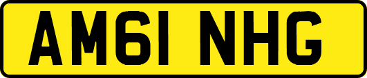 AM61NHG