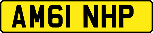 AM61NHP