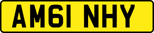 AM61NHY