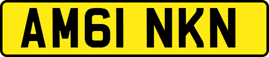 AM61NKN