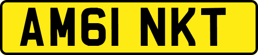 AM61NKT