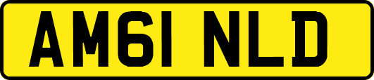 AM61NLD