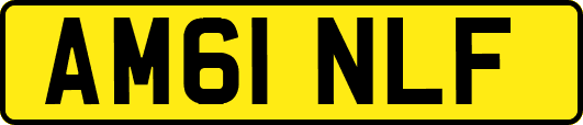 AM61NLF