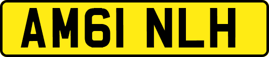 AM61NLH