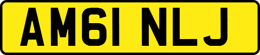 AM61NLJ