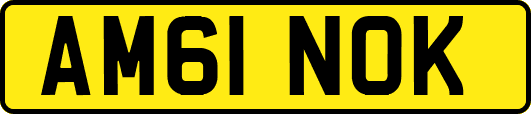 AM61NOK