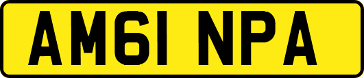 AM61NPA
