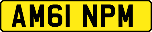 AM61NPM