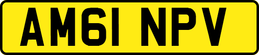 AM61NPV