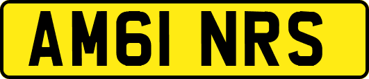 AM61NRS