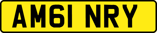 AM61NRY