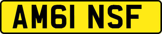 AM61NSF