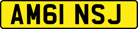 AM61NSJ