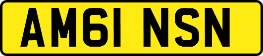 AM61NSN