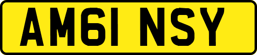 AM61NSY