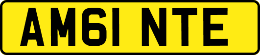 AM61NTE