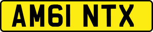 AM61NTX