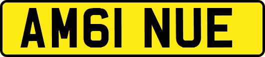AM61NUE