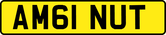 AM61NUT