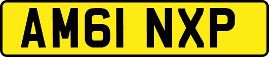 AM61NXP