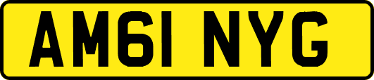 AM61NYG