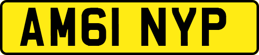 AM61NYP