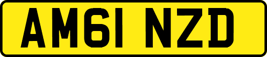 AM61NZD