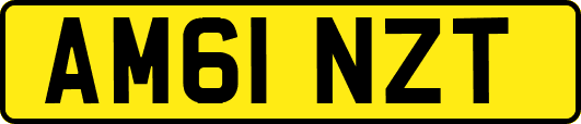 AM61NZT