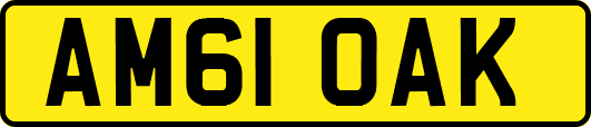 AM61OAK
