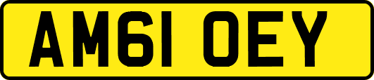 AM61OEY